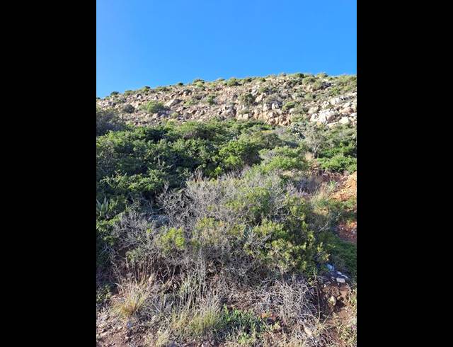 LAND FOR SALE IN VAKANSIEPLAAS